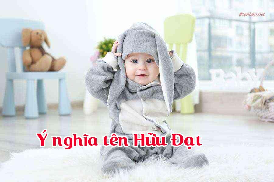 Ý nghĩa tên Hữu Đạt