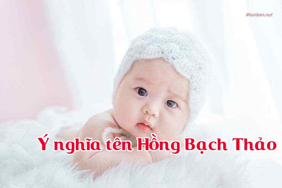 Ý nghĩa tên Hồng Bạch Thảo