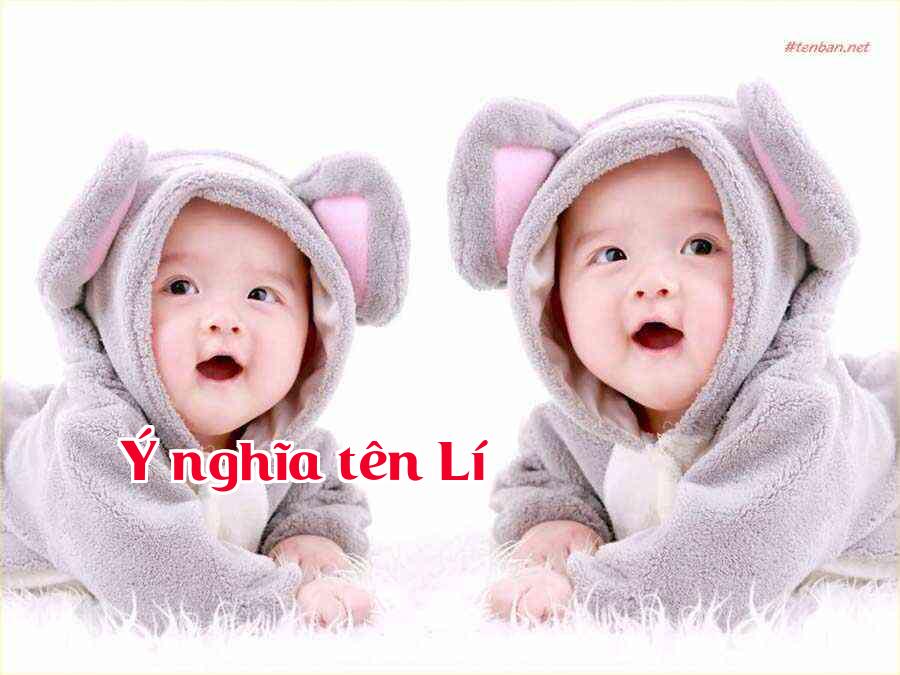 Ý nghĩa tên Lí