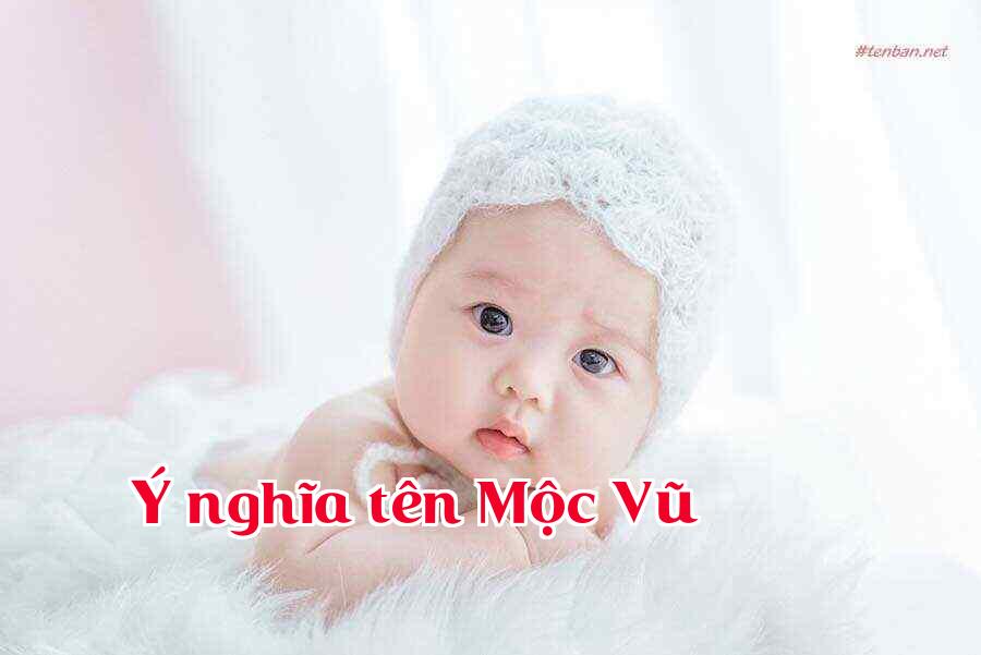 Ý nghĩa tên Mộc Vũ